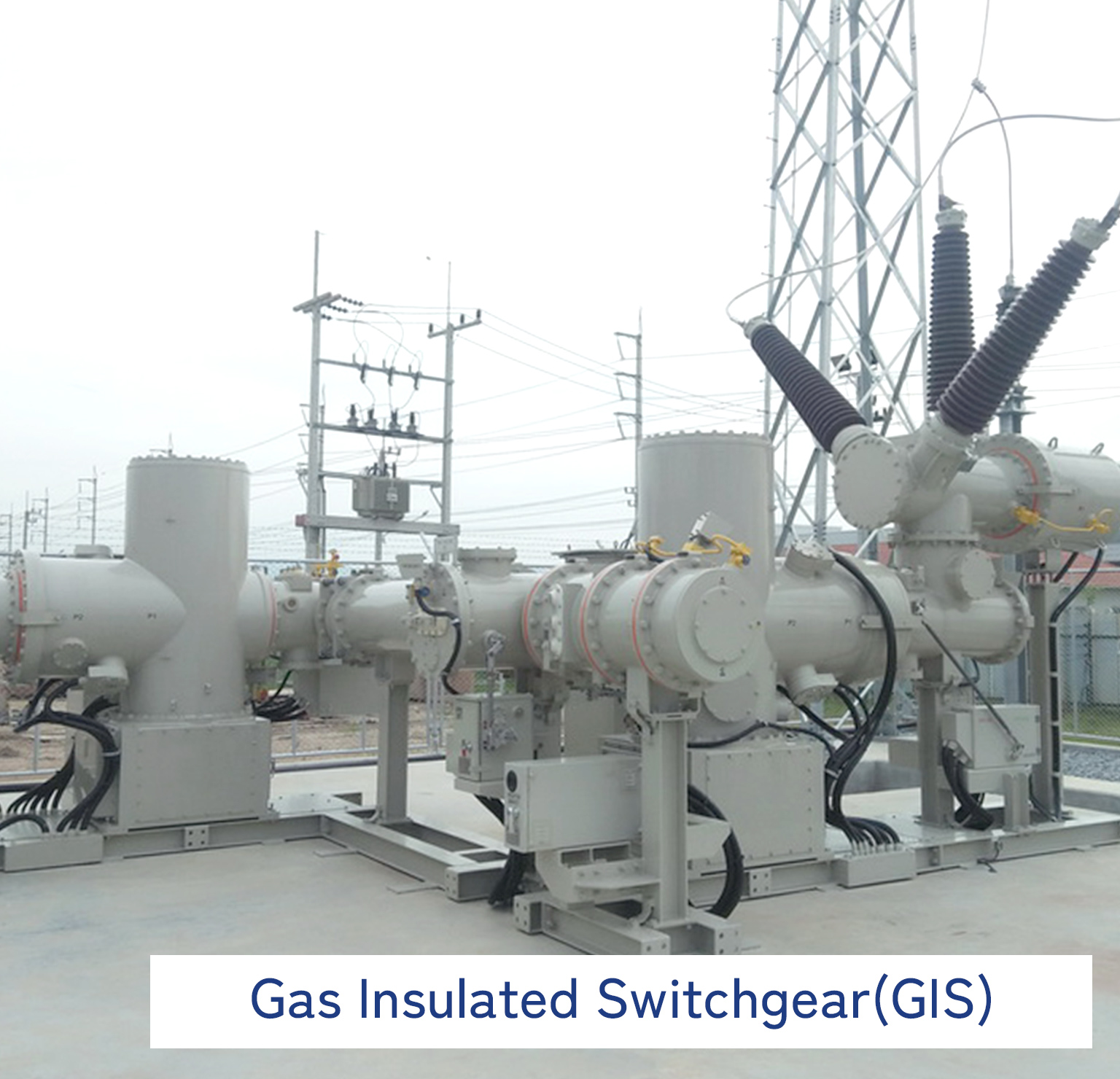 Gas Insulated Switchgear(GIS)